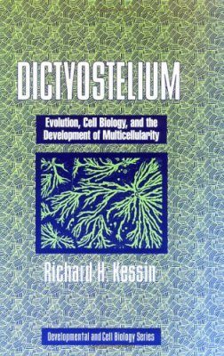Dictyostelium: Evolution, Cell Biology and the Development of Multicellularity
