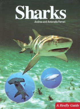 Sharks