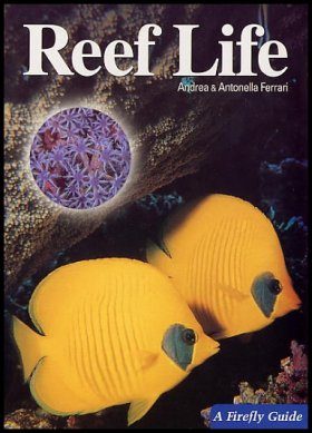 Reef Life