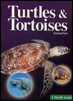 Turtles and Tortoises