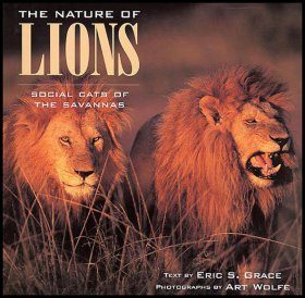 The Nature of Lions