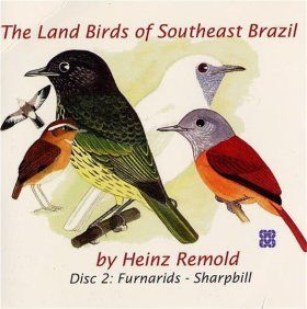 The Land Birds of Southeast Brazil - Disc 2: Furnarids - Sharpbill