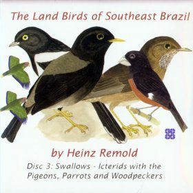 The Land Birds of Southeast Brazil - Disc 3: Oscines