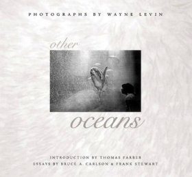 Other Oceans