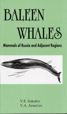 Baleen Whales