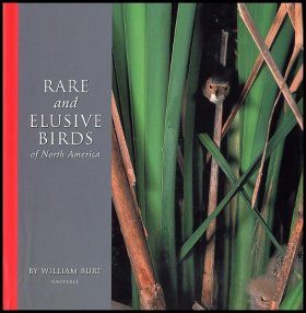 Rare and Elusive Birds of North America