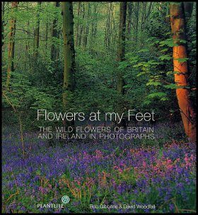 Flowers at My Feet