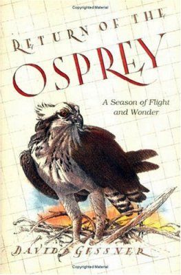 Return of the Osprey: A Season of Flight and Wonder