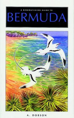 A Birdwatching Guide to Bermuda