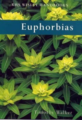 Euphorbias