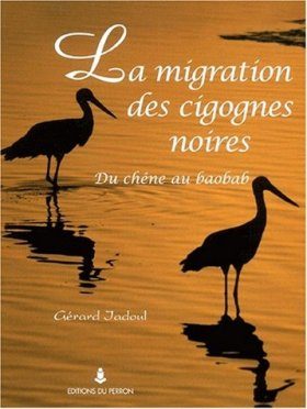 La Migration des Cigognes Noires