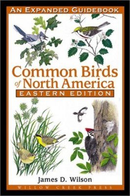 Common Birds of North America: Eastern Edition