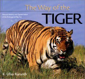 The Way of the Tiger