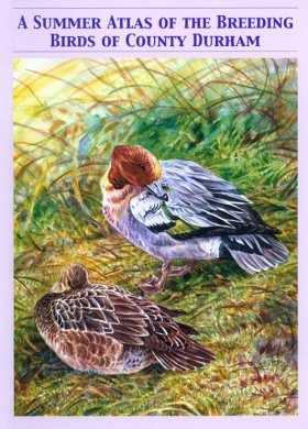 A Summer Atlas of the Breeding Birds of County Durham