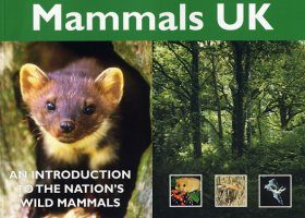 Mammals UK: An Introduction to the Nation's Wild Mammals