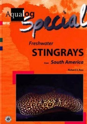 Freshwater Stingrays from South America