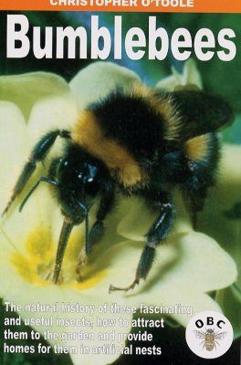 Bumblebees