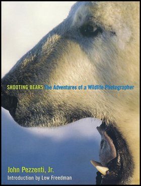 Shooting Bears