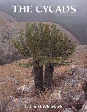 The Cycads