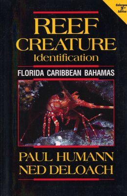 Reef Creature Identification: Florida, Caribbean, Bahamas