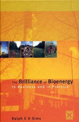 The Brilliance of Bioenergy