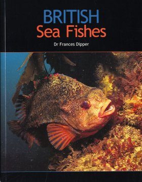 British Sea Fishes
