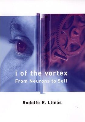 I of the Vortex: From Neurons to Self