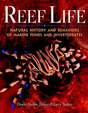 Reef Life