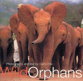 Wild Orphans