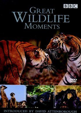 Great Wildlife Moments with David Attenborough - DVD (Region 2 & 4)