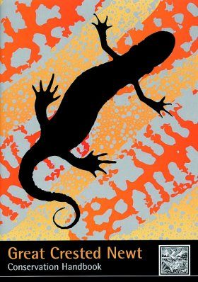 Great Crested Newt