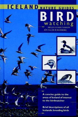 Birdwatching in Iceland