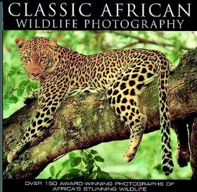 Classic African Wildlife Photography