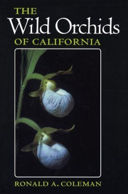 The Wild Orchids of California
