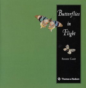 Butterflies in Flight