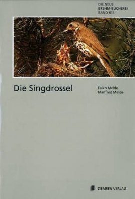 Die Singdrossel (Song Thrush)