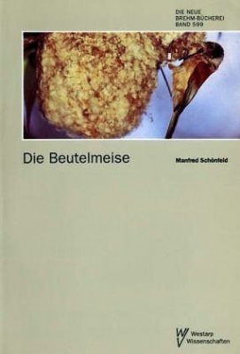 Die Beutelmeise (Penduline Tit)