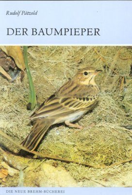Der Baumpieper (Tree Pipit)