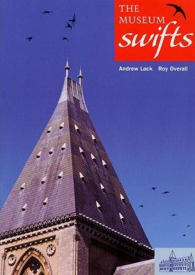 The Museum Swifts