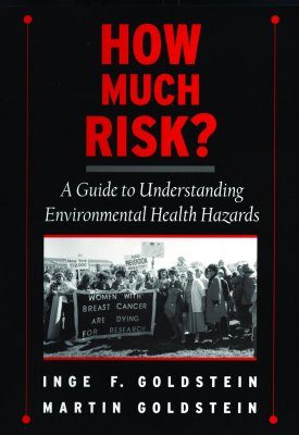 How Much Risk?