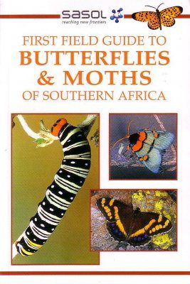 First Field Guide to Butterflies and Moths of Southern Africa
