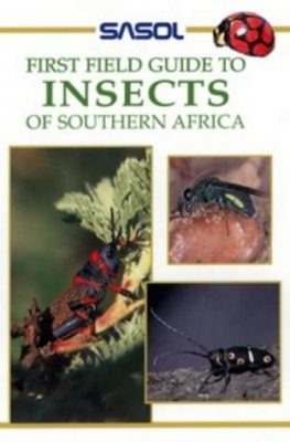 Insects of Southern Africa