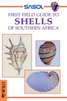 Shells of Southern Africa