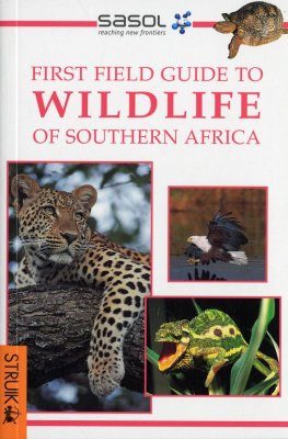 Wildlife of Southern Africa