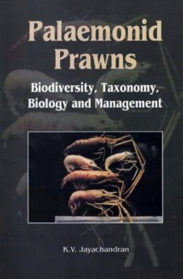 Palaemond Prawns