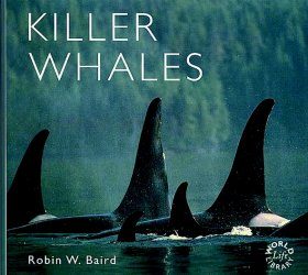 Killer Whales