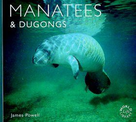 Manatees and Dugongs