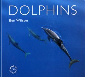 Dolphins