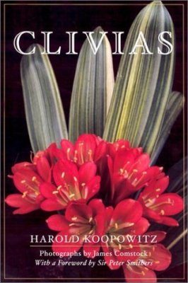 Clivias