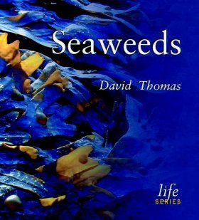 Seaweeds